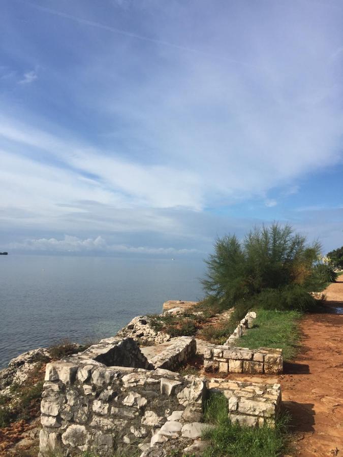 Villa Eva Karigador Novigrad Istria Dış mekan fotoğraf