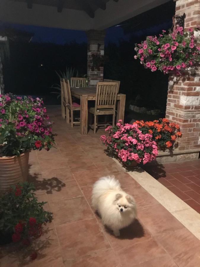 Villa Eva Karigador Novigrad Istria Dış mekan fotoğraf