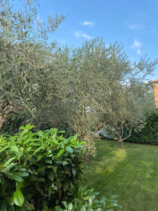 Villa Eva Karigador Novigrad Istria Dış mekan fotoğraf