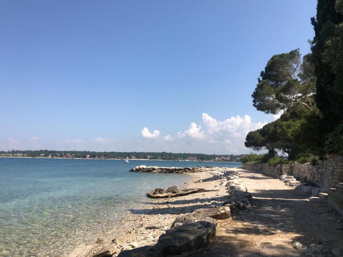 Villa Eva Karigador Novigrad Istria Dış mekan fotoğraf