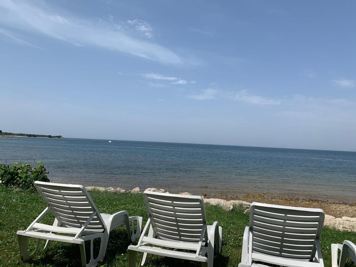 Villa Eva Karigador Novigrad Istria Dış mekan fotoğraf